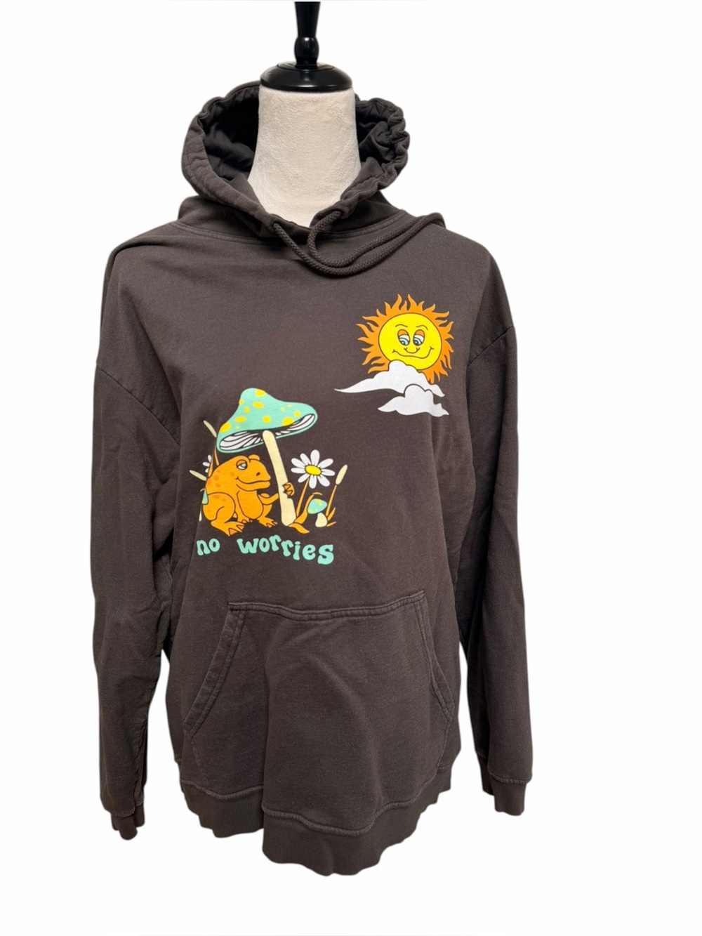 PacSun Fan Club Medium Brown Graphic Hoodie No Worries Sun Frog Soft Cute